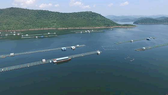 有機養殖場 有機養殖場