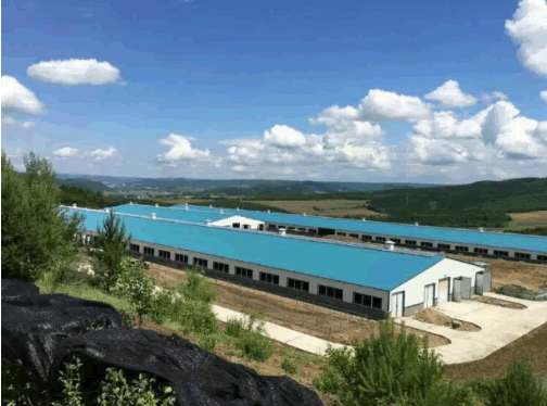 有機(jī)奶廠房 有機(jī)奶廠房