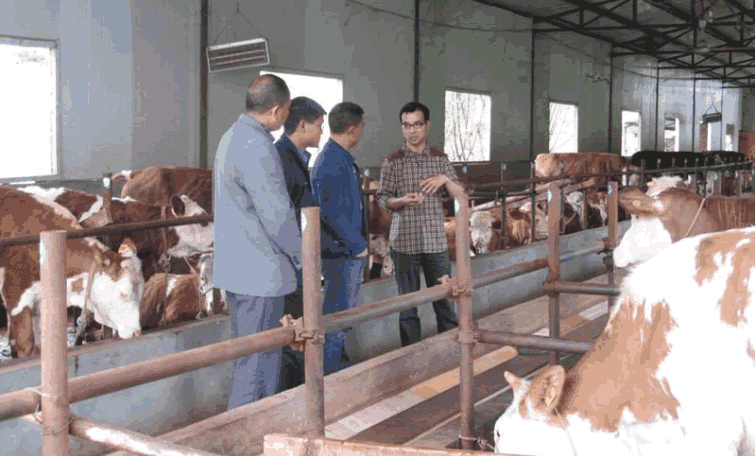 現場檢查 現場檢查