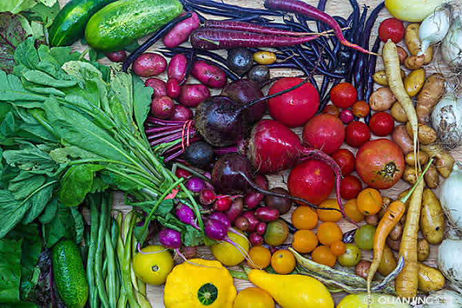 有機農(nóng)產(chǎn)品菜 有機農(nóng)產(chǎn)品菜