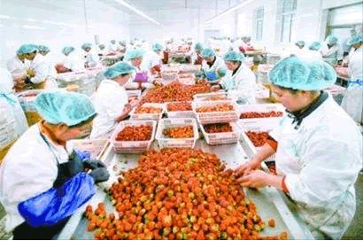 有機農產品加工.png 有機農產品加工.png