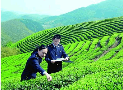 有機農產品檢查.png 有機農產品檢查.png