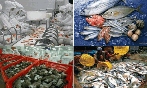 水產市場 水產市場