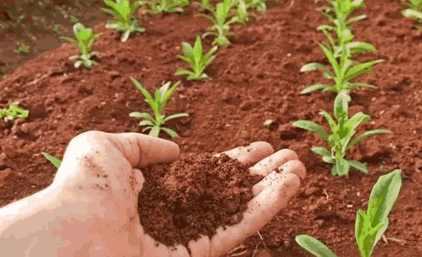 有機認證現場.png 有機認證現場.png