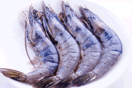 玩轉有機蝦的養殖，用科技和管理實現市場優先