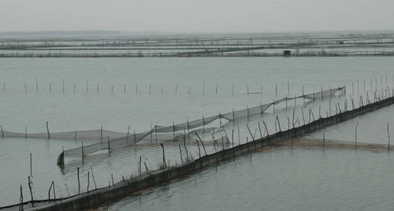 有機水產品.png 有機水產品.png