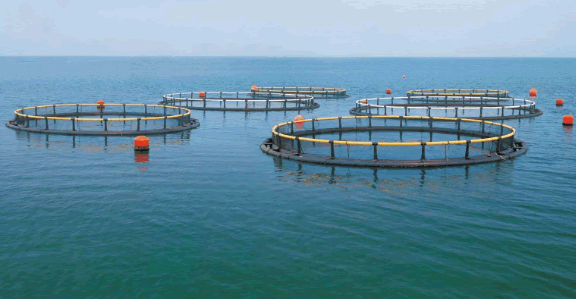 有機水產養殖.png 有機水產養殖.png