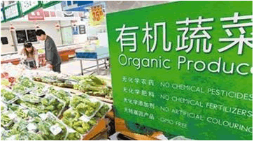 有機蔬菜.png 有機蔬菜.png