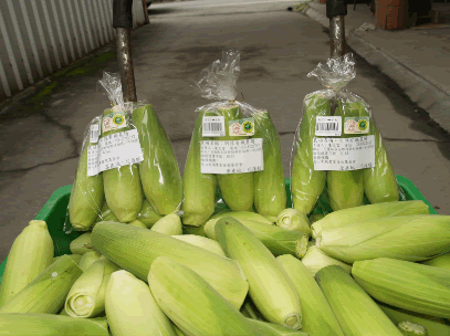 有機認證標志1.png 有機認證標志1.png