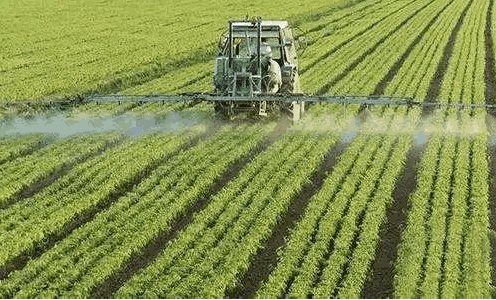 有機認證補貼1.png 有機認證補貼1.png