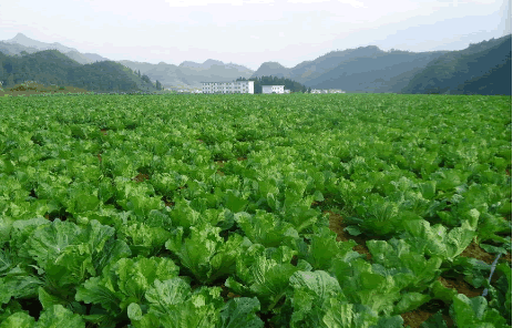 有機認證補貼3.png 有機認證補貼3.png