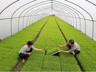 有機認證現場評審.jpg 有機認證現場評審.jpg