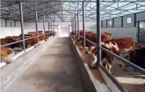 有機畜產品1.jpg 有機畜產品1.jpg