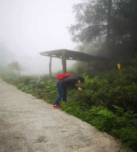 有機種植專業檢查員的苦與樂