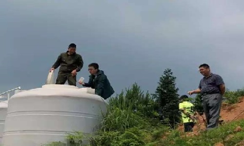 有機種植專業檢查員的苦與樂