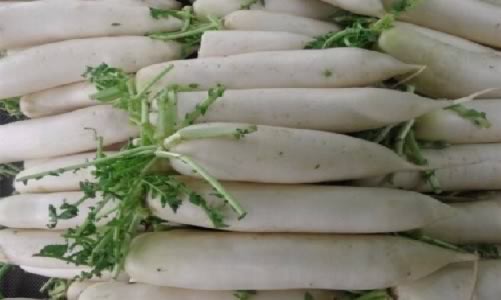 有機白蘿卜的是一種什么食物？