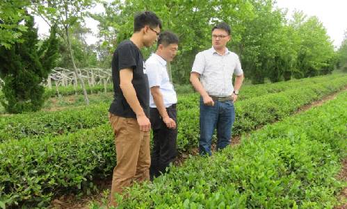 有機認證審核圖片