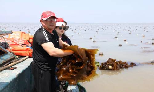 有機認證審核圖片