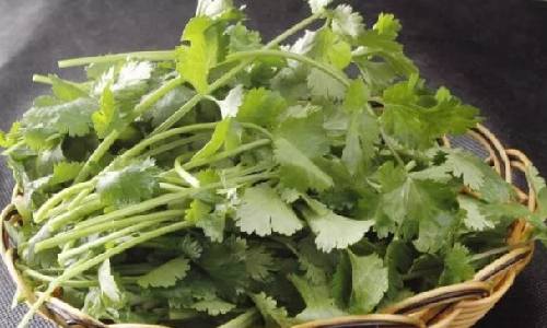 有機芫荽的圖片1.png