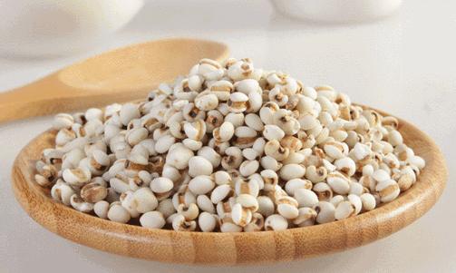 有機苡仁的圖片.png 有機苡仁的圖片.png