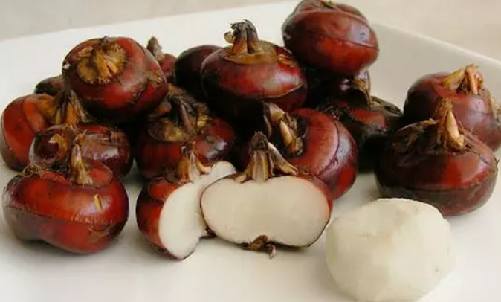 荸薺的圖片.png 荸薺的圖片.png